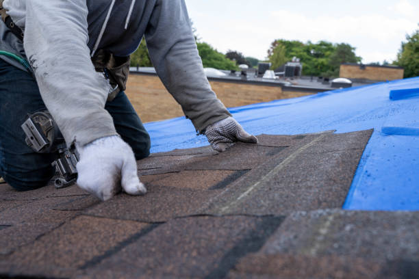 Best New Roof Installation  in Santa Cruz, CA