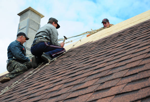 Reliable Santa Cruz, CA Roofing Contractor Solutions